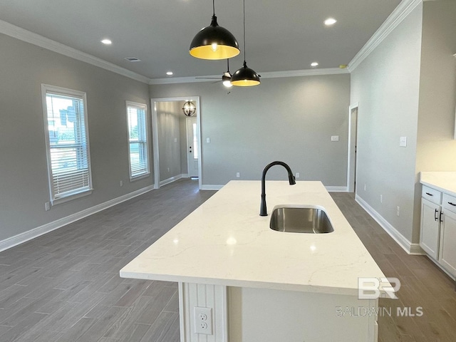 kitchen with crown molding, dark wood-type flooring, and a sink