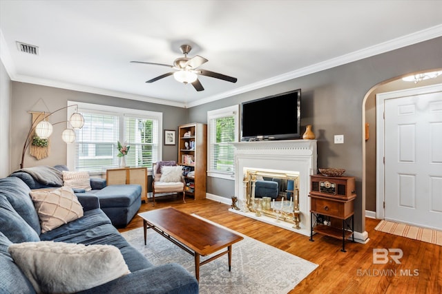 living room featuring ceiling fan, wood-type flooring, and ornamental molding