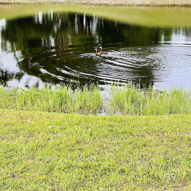 Cypress Lake Dr, Gulf Shores, AL 36542