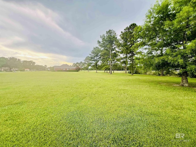 Cypress Lake Dr, Gulf Shores, AL 36542