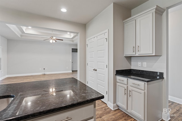 343 Stave Mill Rd, Fairhope, AL 36532 - kitchen with a tray ceiling, light wood finished floors, a ceiling fan, and dark stone countertops