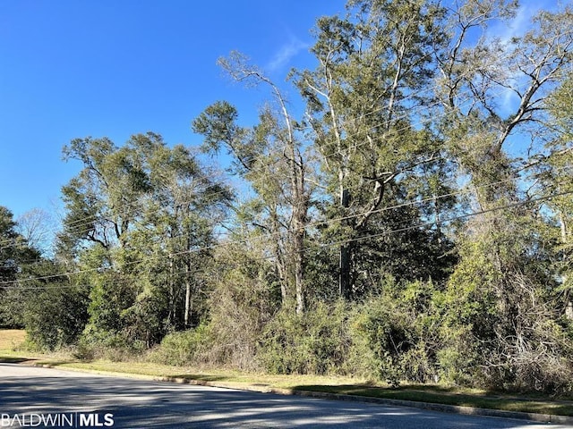 7940 Lebaron Ave, Citronelle AL, 36522 land for sale