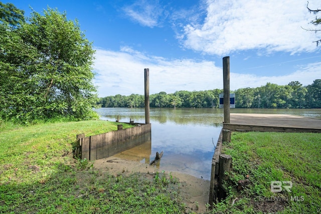 dock area featuring a water view