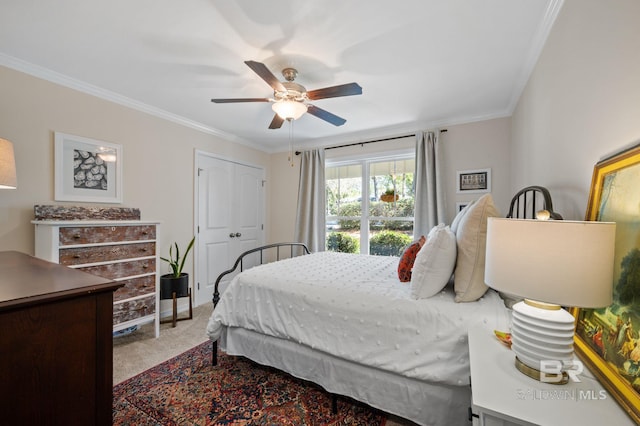 bedroom with ceiling fan, ornamental molding, a closet, and carpet flooring