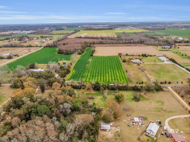 birds eye view of property with a rural view