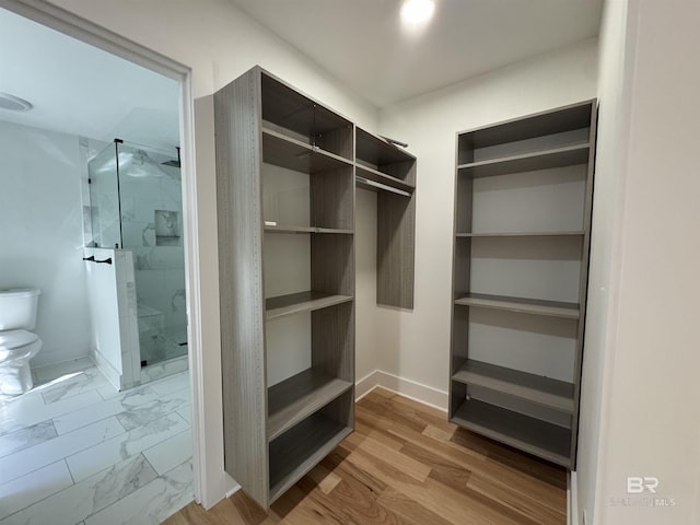 7228 Fairmont Dr, Foley, AL 36535 - view of spacious closet