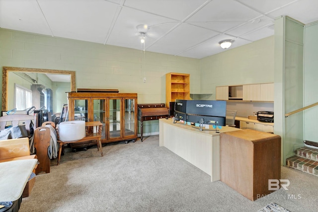 kitchen featuring light carpet and light brown cabinetry