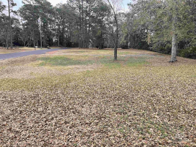 Listing photo 2 for 3923 Patricia Dr, Mobile AL 36619