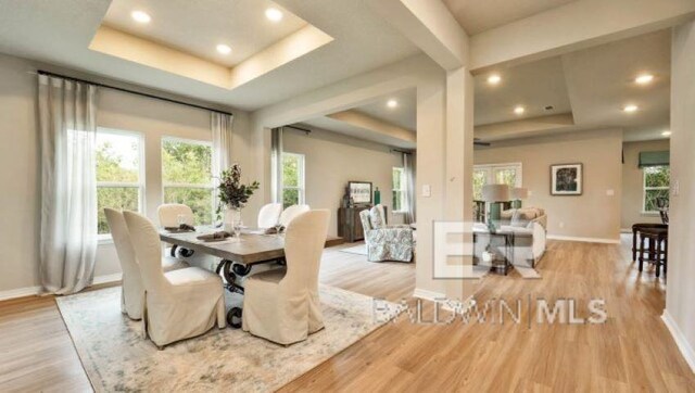 dining room featuring light wood-type flooring and a tray ceiling