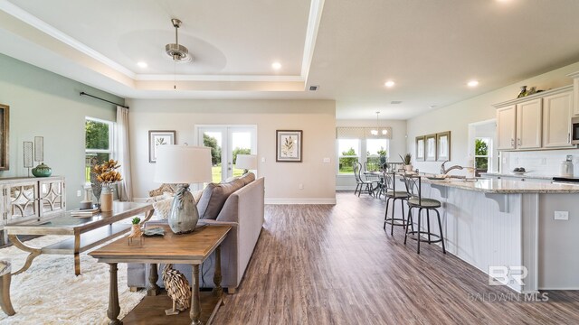 living room featuring french doors, ornamental molding, a tray ceiling, and dark hardwood / wood-style flooring