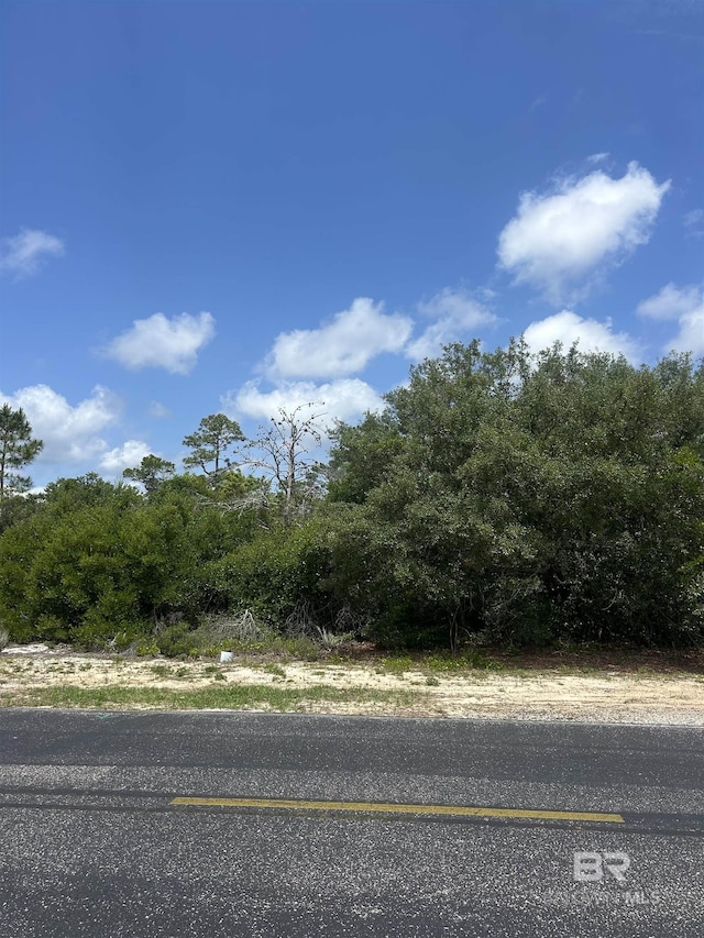 0 Bayou Ct, Orange Beach, AL 36561