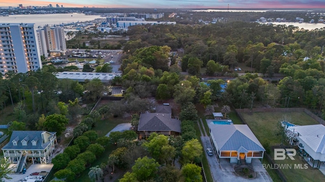 bird's eye view
