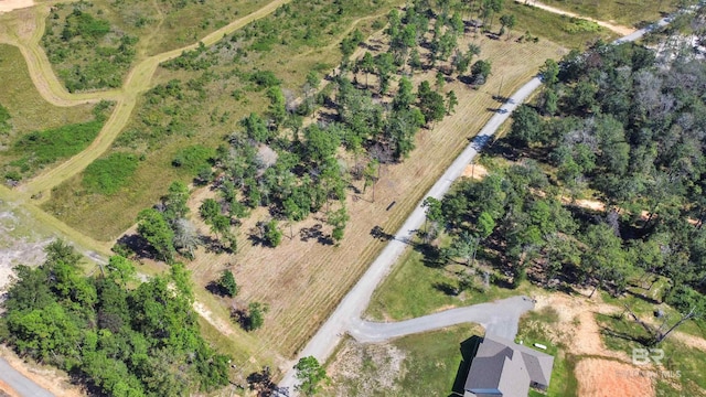 5 Foxtrap Rd, Axis AL, 36505 land for sale