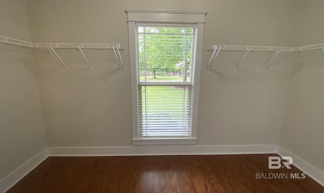 spacious closet with dark hardwood / wood-style floors