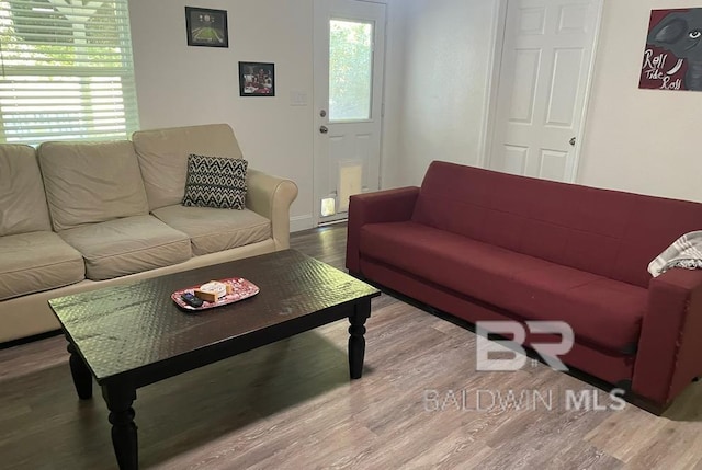 living room featuring hardwood / wood-style floors and a healthy amount of sunlight