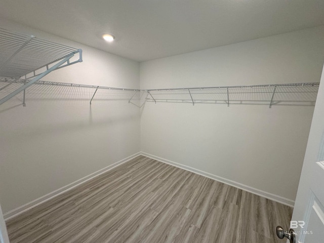 spacious closet with wood-type flooring