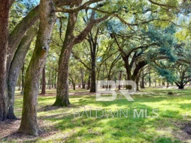 surrounding community with a lawn