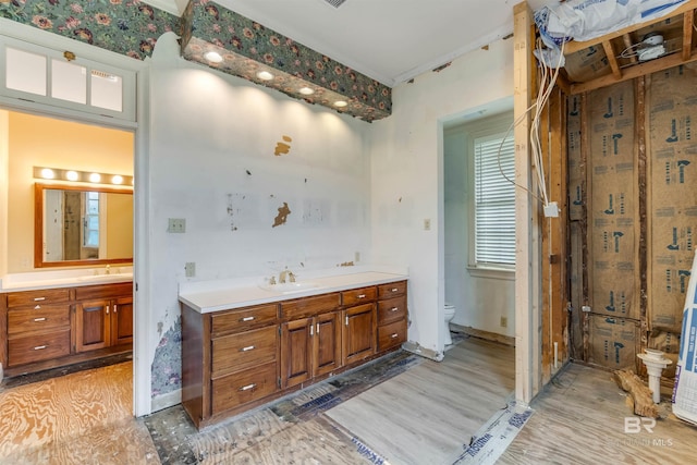 full bathroom featuring two vanities, a sink, toilet, and a healthy amount of sunlight