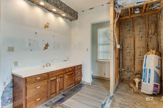 bathroom featuring wood finished floors, vanity, and toilet