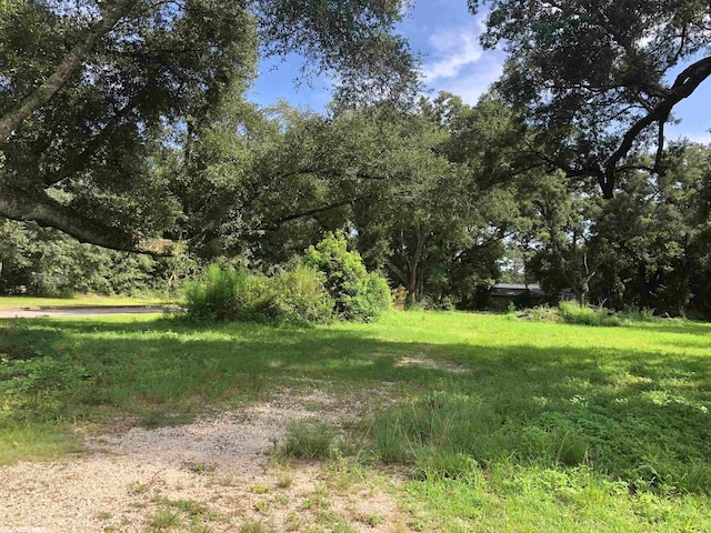 25258 State St, Elberta, AL 36530