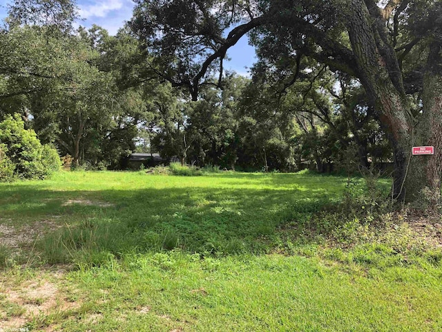 25258 State St, Elberta, AL 36530
