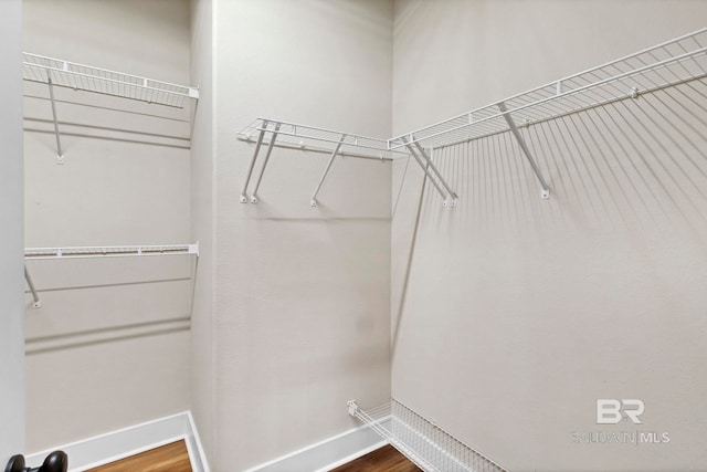 walk in closet with wood-type flooring