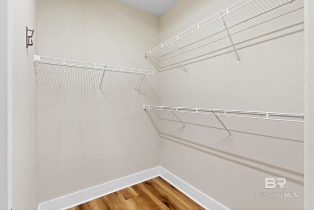 spacious closet with hardwood / wood-style floors