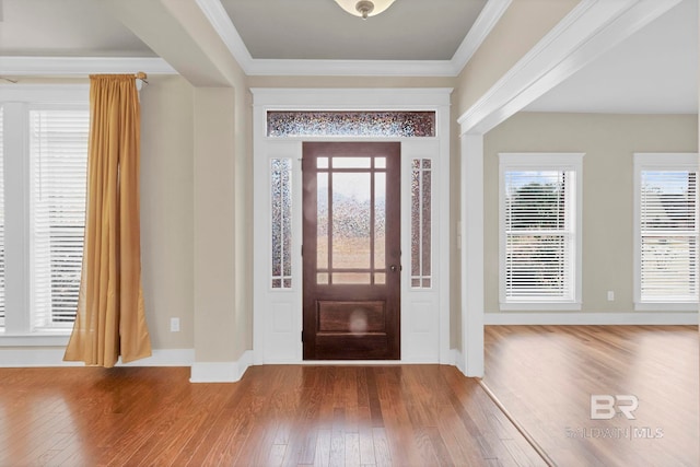 foyer with ornamental molding and wood-type flooring