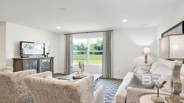 living area featuring wood finished floors, baseboards, and recessed lighting