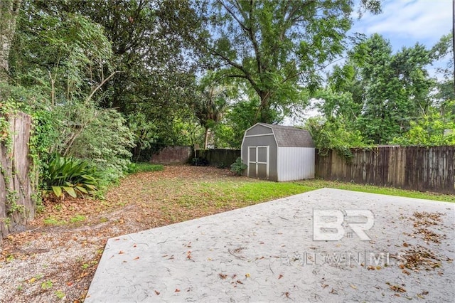 view of yard featuring a patio area and a storage shed