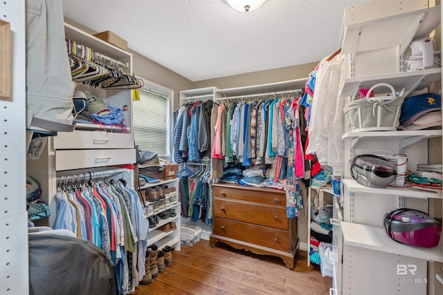 20011 Lawrence Rd, Fairhope, AL 36532 - walk in closet with wood-type flooring
