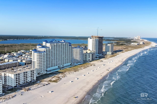 aerial view of unending shoreline