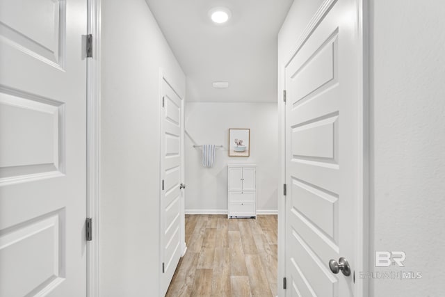 walk in closet featuring light wood finished floors