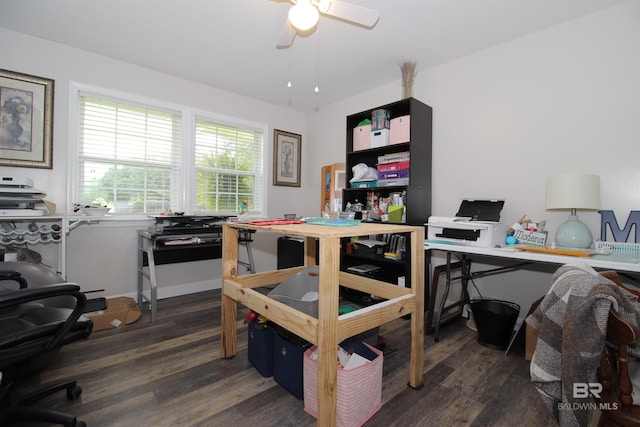 office featuring ceiling fan and dark hardwood / wood-style flooring