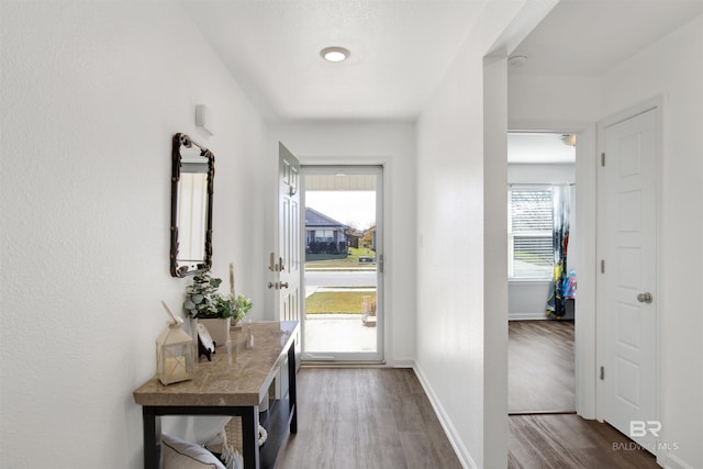 entryway with hardwood / wood-style floors and a wealth of natural light