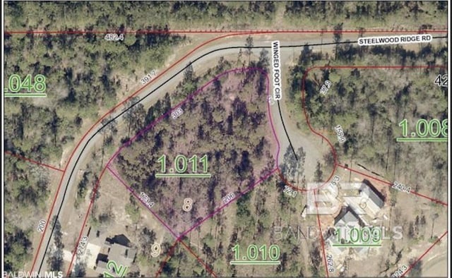 Steelwood Ridge Rd, Loxley, AL 36551