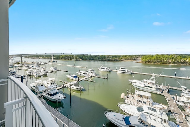 property view of water with a dock