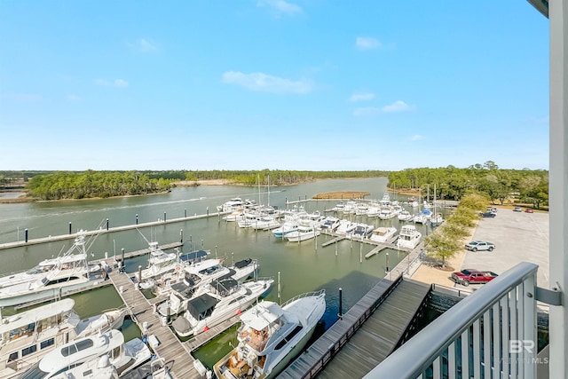 dock area with a water view