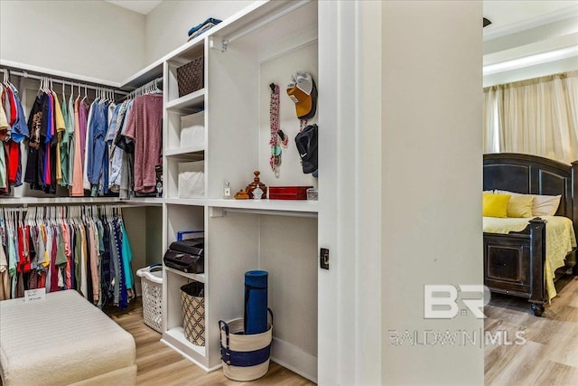 walk in closet featuring wood finished floors