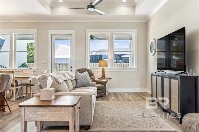 living room with a ceiling fan, ornamental molding, a raised ceiling, and wood finished floors