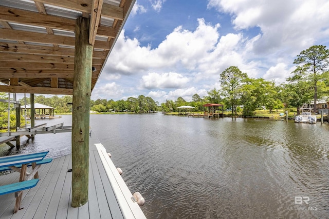 dock area with a water view