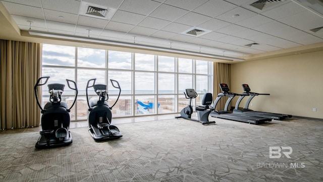 exercise room with carpet flooring, a paneled ceiling, and a wall of windows