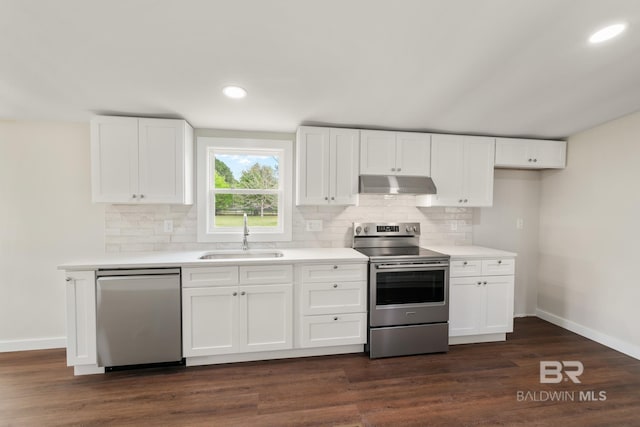 kitchen featuring a sink, stainless steel appliances, baseboards, and under cabinet range hood
