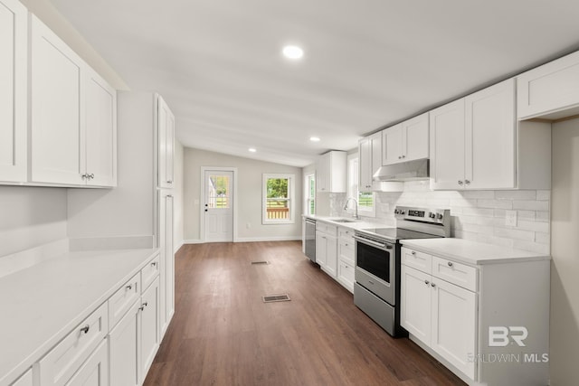 kitchen with visible vents, tasteful backsplash, appliances with stainless steel finishes, under cabinet range hood, and a sink