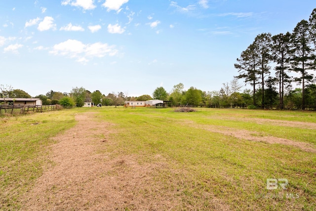 view of yard with a rural view
