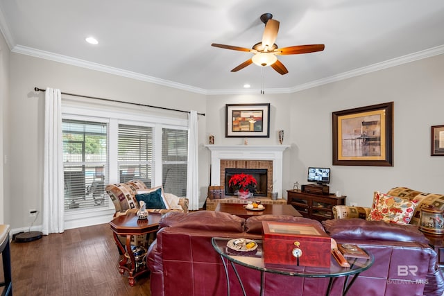 living room with a fireplace, ceiling fan, crown molding, and dark wood-type flooring