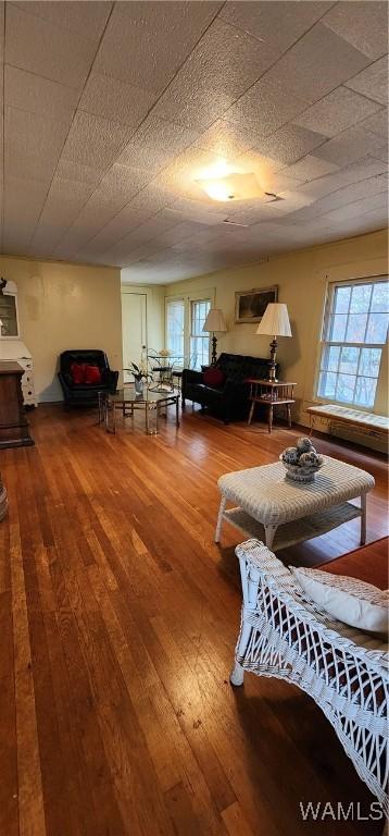 living room with wood-type flooring