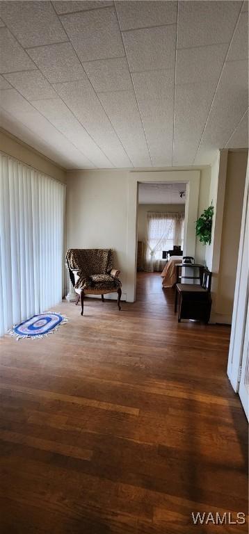 sitting room with dark wood-type flooring