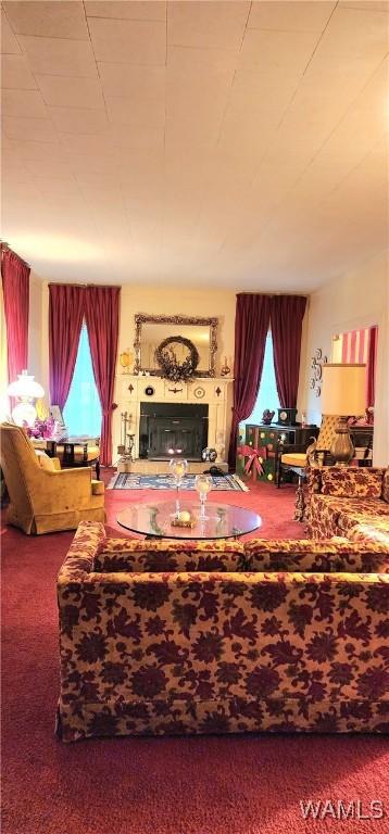 living room featuring carpet flooring