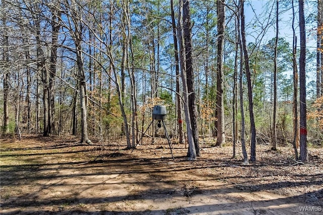 17174 Finnell Rd, Northport, AL 35475 - exterior space featuring a view of trees
